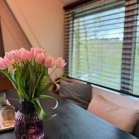 A - - Like A Dream *